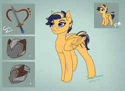 Size: 1024x745 | Tagged: safe, artist:joan-grace, oc, oc only, oc:starshine, pegasus, pony, bio in description, cutie mark, female, helmet, mare, offspring, parent:flash sentry, parent:twilight sparkle, parents:flashlight, reference sheet, solo, sword, weapon