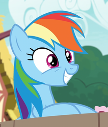 Size: 550x650 | Tagged: safe, screencap, rainbow dash, g4, secrets and pies, cropped, cute, female, smiling, solo