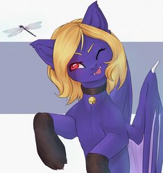 Size: 1600x1700 | Tagged: source needed, useless source url, safe, artist:sguschenkasan, oc, oc only, oc:butter cream, bat pony, dragonfly, :p, bell, bell collar, cat paws, cat socks, collar, cute, fangs, one eye closed, solo, tongue out, wink