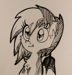 Size: 1401x1448 | Tagged: safe, artist:tjpones, oc, oc only, bat pony, pony, black and white, bust, chest fluff, ear fluff, fangs, grayscale, inktober, monochrome, solo, traditional art