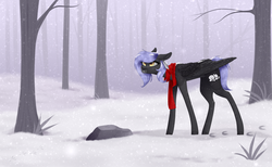 Size: 3633x2233 | Tagged: safe, artist:ohhoneybee, oc, oc only, oc:cloudy night, pegasus, pony, clothes, female, forest, high res, mare, scarf, snow, solo, stone, tree, winter