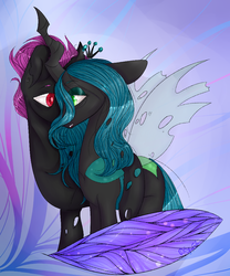 Size: 800x960 | Tagged: artist needed, source needed, safe, queen chrysalis, oc, oc:king dorigan, changeling, changeling queen, g4, canon x oc, changeling king, changeling oc, changeling queen oc, chrysigan, duo, female, male, purple changeling, shipping, straight