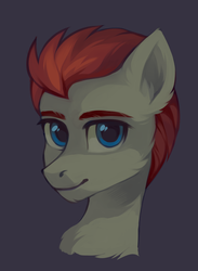 Size: 1363x1858 | Tagged: safe, artist:share dast, oc, oc only, pony, bust, male, portrait, simple background, solo, stallion