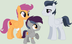 Size: 741x450 | Tagged: safe, artist:lost-our-dreams, rumble, scootaloo, oc, oc:crash boomer, pegasus, pony, g4, colt, male, offspring, older, parent:rumble, parent:scootaloo, parents:rumbloo, ship:rumbloo, shipping, simple background, straight