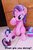 Size: 800x1200 | Tagged: safe, artist:nekokevin, starlight glimmer, twilight sparkle, alicorn, pony, unicorn, series:nekokevin's glimmy, g4, boop, clothes, cute, female, glimmerbetes, glimmerposting, irl, life size, looking at each other, looking down, mare, meme, photo, plushie, raised hoof, self-boop, sitting, size difference, socks, starlight's little twibird, striped socks, twilight sparkle (alicorn)