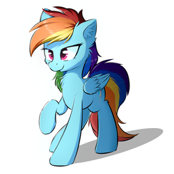 Size: 2000x2000 | Tagged: safe, artist:morningbullet, rainbow dash, pegasus, pony, g4, cheek fluff, chest fluff, ear fluff, female, fluffy, folded wings, high res, lidded eyes, mare, raised hoof, simple background, smiling, solo, standing, white background