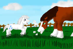 Size: 1260x850 | Tagged: safe, artist:horsesplease, double diamond, trouble shoes, clydesdale, horse, pony, shetland pony, g4, annoyed, cute, daaaaaaaaaaaw, double dawwmond, double trouble duo, excited, grass, grazing, happy, herbivore, horses doing horse things, playful, silly, silly pony, snorting, unamused, unshorn fetlocks