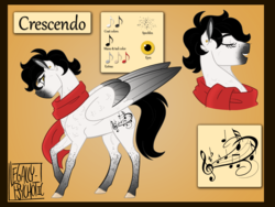 Size: 2000x1500 | Tagged: safe, artist:cranberry--zombie, oc, oc only, oc:crescendo, pegasus, pony, clothes, female, mare, reference sheet, scarf, solo