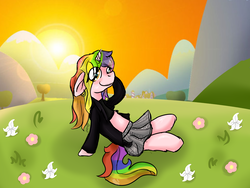 Size: 4000x3000 | Tagged: safe, artist:euspuche, oc, oc only, earth pony, pony, clothes, commission, female, field, rainbow hair, solo