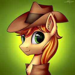 Size: 3000x3000 | Tagged: safe, artist:setharu, braeburn, earth pony, pony, g4, bust, chest fluff, clothes, cowboy hat, ear fluff, gradient background, hat, high res, looking at you, looking back, male, signature, smiling, solo, stallion, stetson, vest