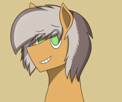 Size: 2219x1859 | Tagged: safe, oc, oc only, oc:deliriam, looking at you, pony avatar, smiling, smirk