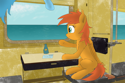 Size: 3648x2432 | Tagged: safe, oc, oc only, oc:shadowfly, pegasus, pony, bottle, high res, ocean, russia, sitting, sleeping, train, плацкарт