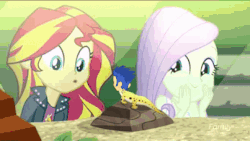 Size: 403x228 | Tagged: safe, edit, edited screencap, screencap, flash sentry, fluttershy, ray, sunset shimmer, human, leopard gecko, eqg summertime shorts, equestria girls, g4, pet project, animated, clothes, female, gif, heart, humanized, i can't believe it's not superedit, jacket, male, parody, rock, shimmering the gecko, ship:flashimmer, shipping, straight, wat
