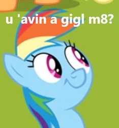 Size: 314x335 | Tagged: safe, edit, edited screencap, screencap, rainbow dash, g4, faic, female, hubworld, image macro, meme, reaction image, solo, u wot m8