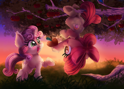 Size: 2000x1450 | Tagged: safe, artist:discorded, apple bloom, sweetie belle, earth pony, pony, unicorn, g4, adorabloom, apple, bloom butt, blushing, butt, cheek fluff, chest fluff, cute, diasweetes, ear fluff, eyes on the prize, female, filly, fluffy, food, fruit, grass, grass field, hanging, happy, hoof hold, leg fluff, looking at something, open mouth, plot, prehensile tail, raised hoof, scenery, shoulder fluff, smiling, sunset, sweet apple acres, the cmc's cutie marks, tree, underhoof, upside down