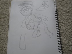 Size: 3648x2736 | Tagged: safe, artist:sb1991, derpy hooves, pony, g4, drawing, high res, legs, mailbag, mailmare, original drawing, traditional art, wings