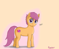Size: 1800x1500 | Tagged: safe, artist:ponyxwright, scootaloo, earth pony, pony, g4, cutie mark, earth pony scootaloo, female, looking at you, race swap, solo