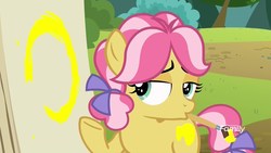 Size: 1600x900 | Tagged: safe, screencap, kettle corn, earth pony, pony, g4, marks and recreation, bedroom eyes, bow, circle, circle painting, covered cutie mark, female, filly, foal, hair bow, lidded eyes, looking at you, mouth hold, paintbrush, painting, shrug, solo, whatever