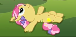 Size: 560x274 | Tagged: safe, screencap, kettle corn, earth pony, pony, g4, marks and recreation, cropped, female, filly, hidden cutie mark, on back, solo