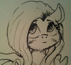 Size: 1513x1381 | Tagged: safe, artist:plotcore, fluttershy, pony, g4, female, inktober, mare, solo, traditional art