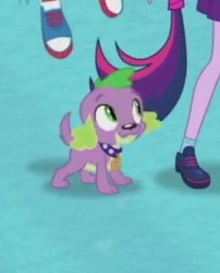 Size: 244x302 | Tagged: safe, screencap, rainbow dash, sci-twi, spike, spike the regular dog, twilight sparkle, dog, equestria girls, g4, my little pony equestria girls: better together, converse, cropped, male, offscreen character, paws, puppy, shoes, sneakers