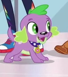 Size: 287x326 | Tagged: safe, screencap, spike, spike the regular dog, dog, equestria girls, g4, my little pony equestria girls: better together, converse, cropped, male, paws, puppy, shoes, smiling, sneakers