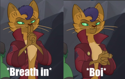 Size: 758x483 | Tagged: safe, screencap, capper dapperpaws, abyssinian, cat, anthro, g4, my little pony: the movie, bedroom eyes, boi, chest fluff, exploitable meme, handsome, image macro, lidded eyes, meme, sexy, stupid sexy capper