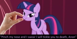 Size: 1166x590 | Tagged: safe, edit, edited screencap, screencap, twilight sparkle, pony, g4, too many pinkie pies, boop, boop edit, bronybait, cute, female, hand, meta, nose wrinkle, pinch, scrunchy face, solo, tickling