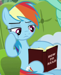 Size: 469x570 | Tagged: safe, edit, edited screencap, screencap, lightning dust, rainbow dash, pegasus, pony, book, bored, cheek squish, couch, female, frown, how to read, illiterate, image macro, leaning, lidded eyes, mare, meme, paradox, reading, solo focus, squishy cheeks, wat