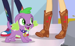 Size: 529x324 | Tagged: safe, screencap, applejack, rainbow dash, spike, spike the regular dog, dog, equestria girls, g4, my little pony equestria girls: better together, apple, boots, converse, cowboy boots, cropped, food, legs, paws, pictures of legs, shoes, sneakers