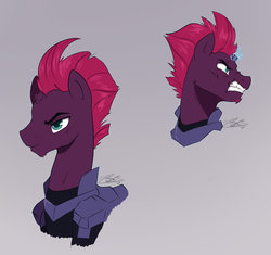 Size: 1024x964 | Tagged: safe, artist:nolycs, tempest shadow, pony, unicorn, g4, my little pony: the movie, armor, cyclone shade, facial hair, goatee, male, rule 63, simple background, solo, stallion