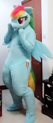 Size: 654x1519 | Tagged: safe, artist:rogerdaily, rainbow dash, human, g4, clothes, cosplay, costume, fursuit, irl, irl human, photo, ponysuit, solo