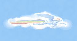 Size: 1600x851 | Tagged: safe, artist:admhire, rainbow dash, g4, cloud, flying, hoers