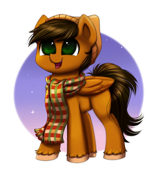 Size: 931x1000 | Tagged: safe, artist:confetticakez, oc, oc only, oc:thunder chaser, pegasus, pony, beanie, clothes, happy, hat, male, scarf, simple background, smiling, solo, stallion, unshorn fetlocks, ych result