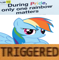 Size: 647x657 | Tagged: safe, rainbow dash, g4, candy, crossed hooves, food, gay pride, gay pride flag, grumpy, irl, meme, op is a duck, photo, pride, skittles, solo, triggered