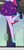 Size: 206x433 | Tagged: safe, screencap, sci-twi, twilight sparkle, equestria girls, g4, my little pony equestria girls: better together, clothes, converse, cropped, legs, pictures of legs, raised leg, shoes, skirt, socks