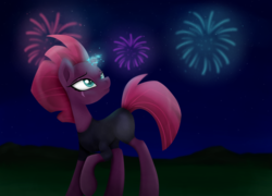 Size: 1024x737 | Tagged: safe, artist:bonsia-lucky, fizzlepop berrytwist, tempest shadow, pony, g4, my little pony: the movie, broken horn, eye scar, female, fireworks, horn, mare, night, scar, smiling, solo