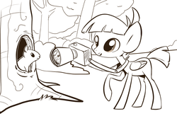 Size: 1014x664 | Tagged: safe, artist:php27, featherweight, pegasus, pony, squirrel, g4, camera