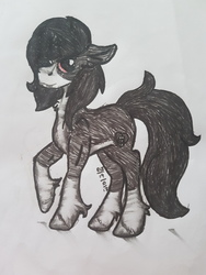 Size: 4032x3024 | Tagged: safe, artist:euspuche, oc, oc only, oc:zalam, pony, unicorn, black and white, grayscale, high res, looking at you, male, monochrome, solo, traditional art