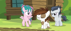 Size: 1500x660 | Tagged: safe, screencap, pipsqueak, rumble, tulip swirl, pegasus, pony, g4, marks and recreation, animated, colt, female, filly, male, no sound, webm