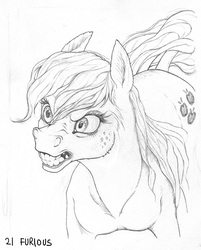 Size: 781x973 | Tagged: safe, artist:gor1ck, applejack, horse, g4, flared nostrils, flehmen response, furious, gritted teeth, hoers, horses doing horse things, monochrome, pencil drawing, teeth, traditional art