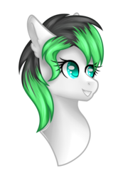 Size: 2500x3335 | Tagged: safe, artist:blocksy-art, oc, oc only, oc:emerald, earth pony, pony, bust, female, high res, mare, portrait, simple background, solo, transparent background
