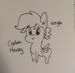Size: 1084x1065 | Tagged: safe, artist:tjpones, oc, oc only, pegasus, pony, black and white, ear fluff, grayscale, inktober, lineart, monochrome, neigh, solo, traditional art