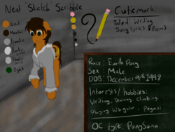 Size: 2000x1500 | Tagged: safe, artist:speedpaintthegod, oc, oc only, oc:neat sketch scribble, earth pony, pony, chalkboard, clothes, cutie mark, hoodie, pencil, ponysona, reference sheet, solo