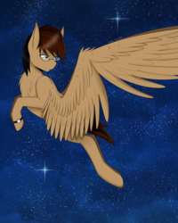 Size: 4000x5000 | Tagged: safe, artist:cannoncar, oc, oc only, pegasus, pony, absurd resolution, flying, looking back, night, solo, starry night, stars