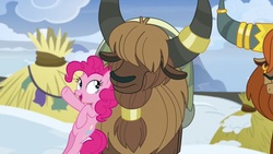 Size: 1280x720 | Tagged: safe, screencap, pinkie pie, prince rutherford, earth pony, pony, yak, not asking for trouble, bipedal, ear piercing, earring, female, horn ring, jewelry, mare, open mouth, piercing, snow