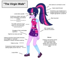 Size: 1366x1080 | Tagged: artist needed, source needed, safe, sci-twi, twilight sparkle, equestria girls, g4, blurry, clothes, female, glasses, mary janes, meme, needs more jpeg, picture taken with a potato, ponytail, shoes, skirt, socks, solo, text, virgin walk