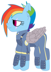 Size: 1024x1448 | Tagged: safe, artist:frannis, rainbow dash, pegasus, pony, g4, the cutie re-mark, alternate timeline, amputee, apocalypse dash, augmented, crystal war timeline, female, mare, prosthetic limb, prosthetic wing, prosthetics, scar, simple background, solo, torn ear, transparent background