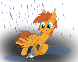 Size: 1048x844 | Tagged: safe, artist:pzkratzer, oc, oc only, oc:shadowfly, bird, pegasus, pigeon, pony, 30 minute art challenge, colored sketch, duo, rain, wing umbrella, wings