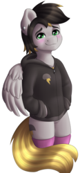 Size: 930x2000 | Tagged: safe, artist:spirit-dude, oc, oc only, pegasus, semi-anthro, blushing, clothes, ear piercing, hoodie, male, piercing, simple background, solo, transparent background